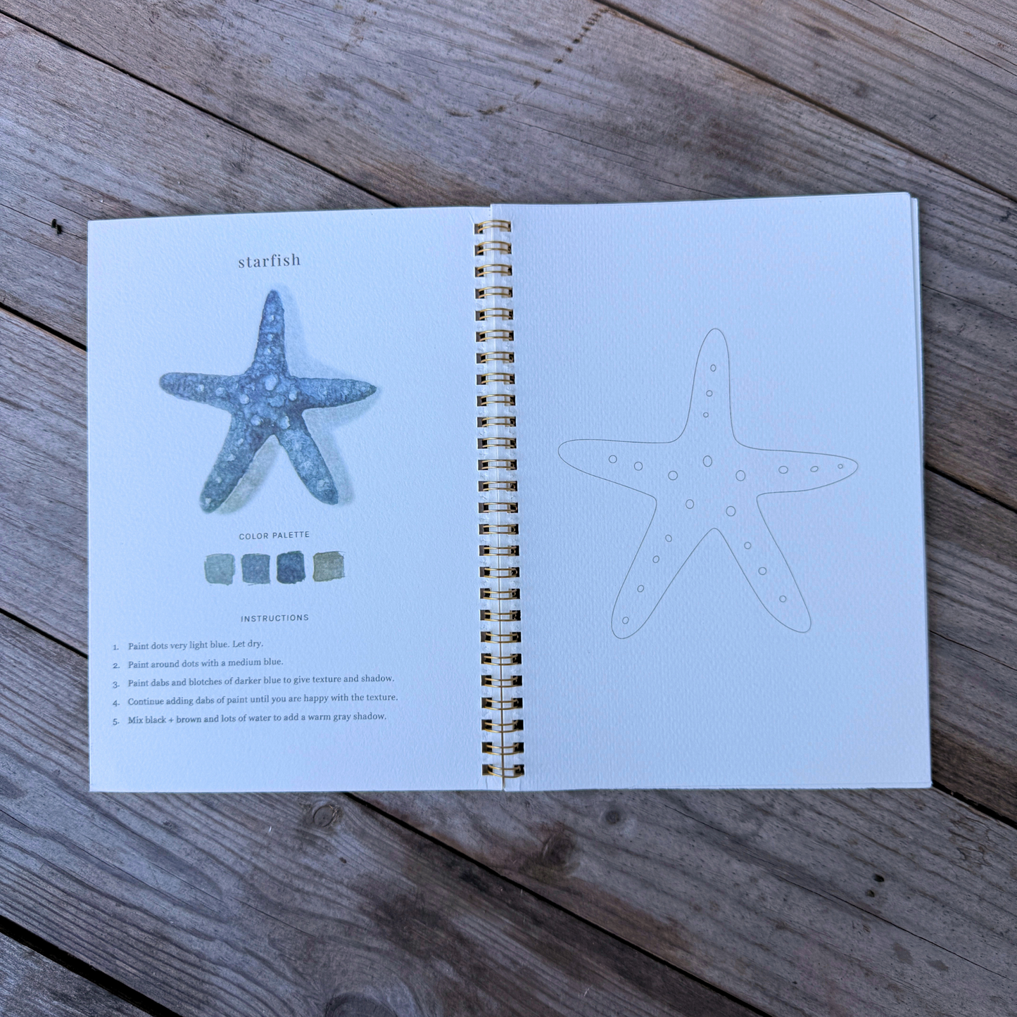 Watercolor Workbook