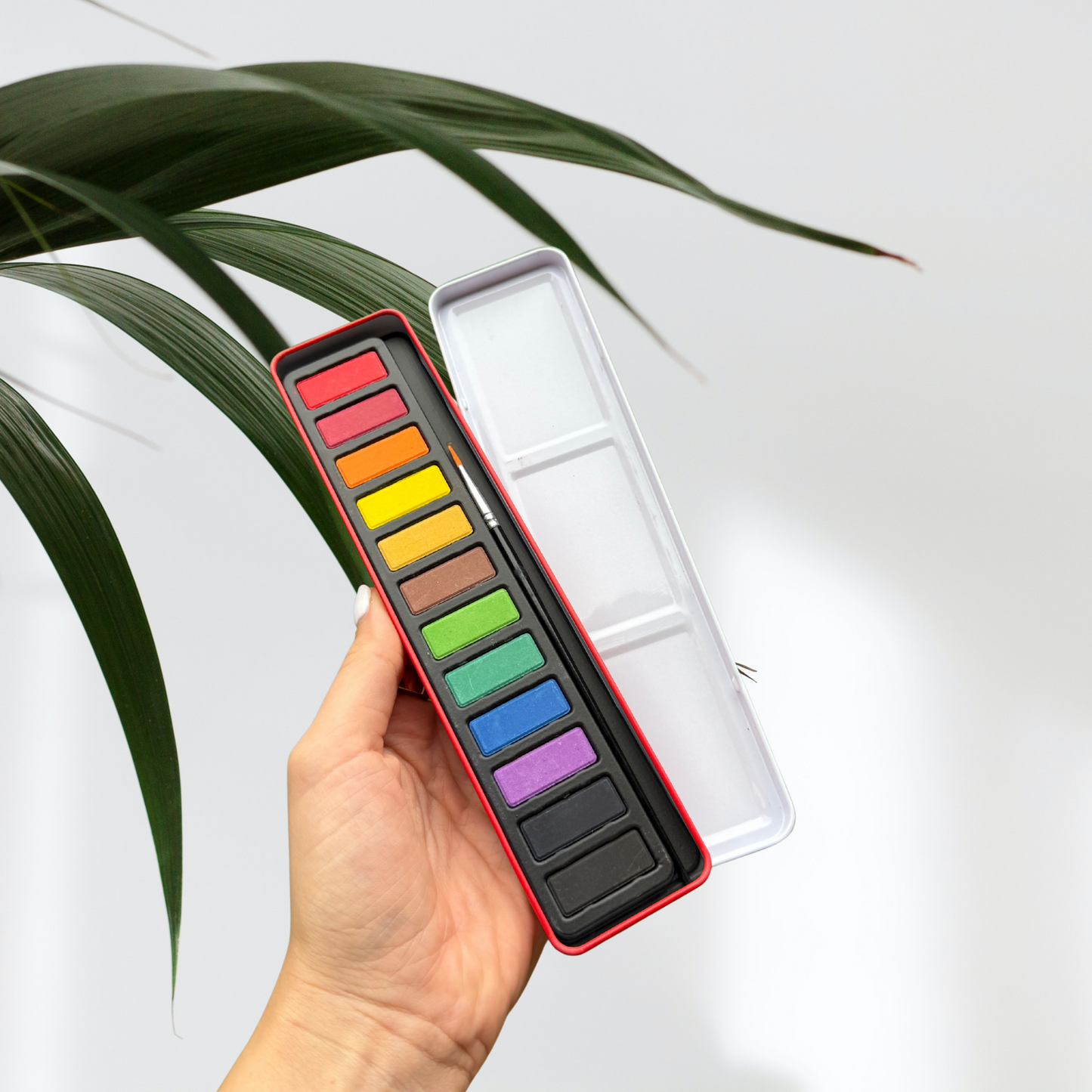 Watercolor Workbook