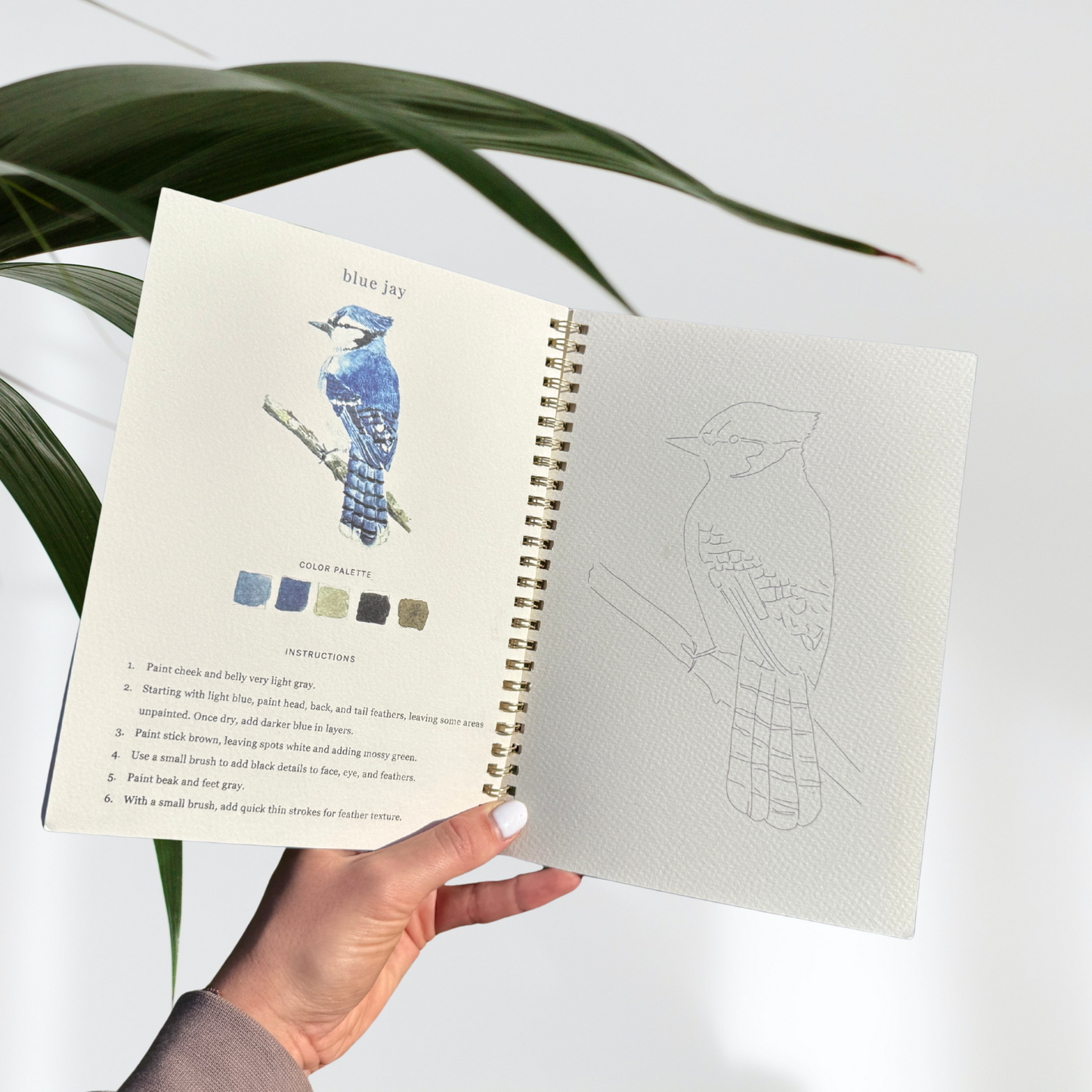 Watercolor Workbook