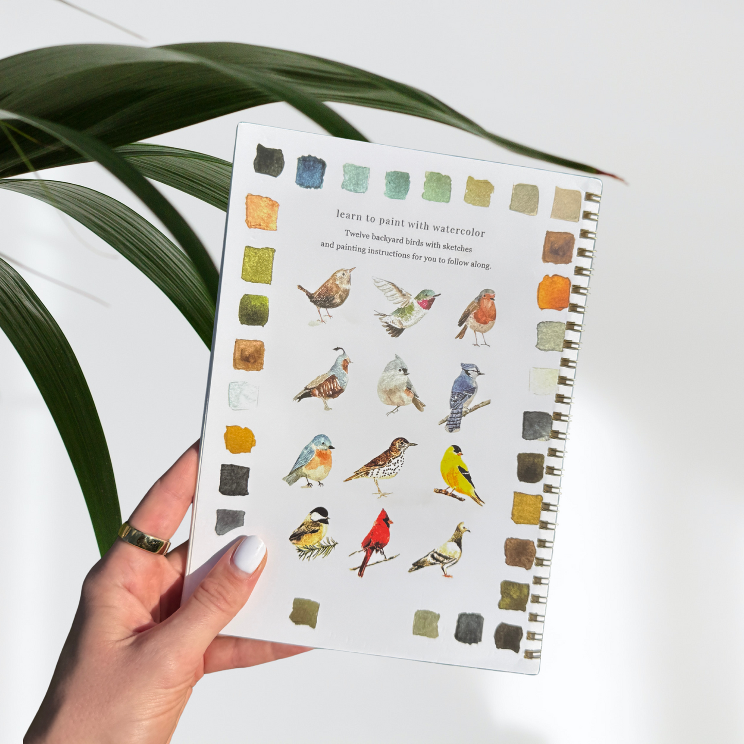 Watercolor Workbook