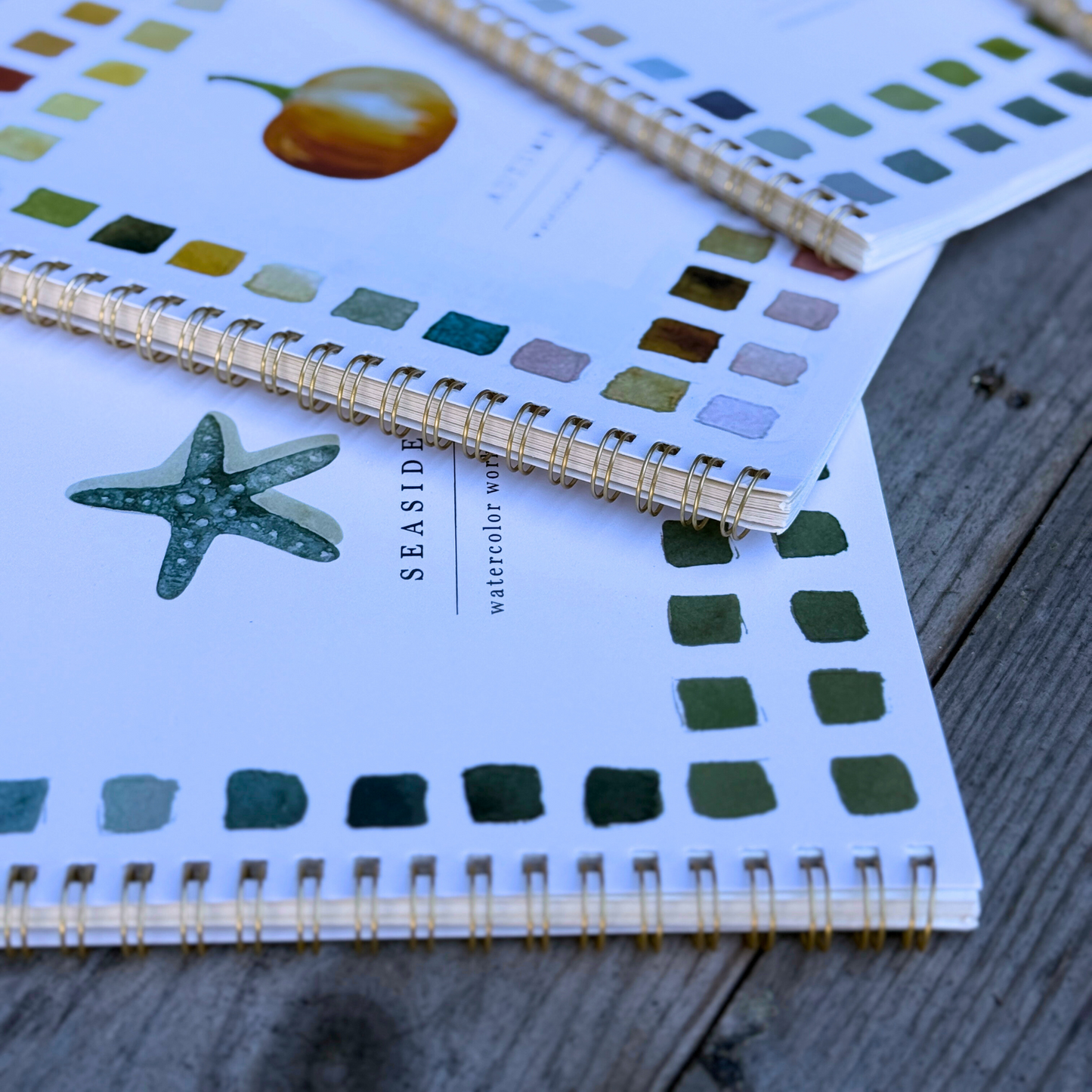 Watercolor Workbook